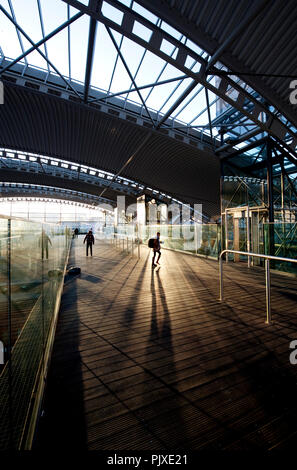 Il Leuven stazione ferroviaria, progettato da Philippe Samyn & Partners (Belgio, 14/11/2011) Foto Stock
