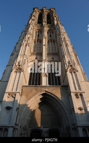 Il San Rumbolds Cathedral, Arcivescovado cattedrale di Mechelen (Belgio, 12/12/2008) Foto Stock