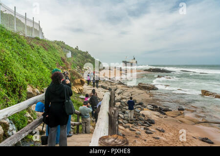 Persone che accorrevano per vedere il Phoenix, un ingombro abbandonati petroliera si è arenata a Sheffield Beach su Durban North Coast Foto Stock