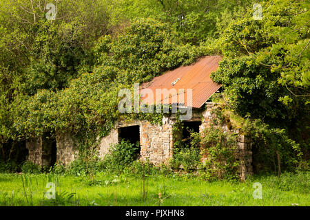 Irlanda, Co Leitrim, Tarmon, Spencer Harbour, rovine di abbandono di stagno-cottage dal tetto Foto Stock