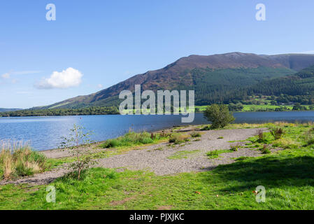 Bassenthwaite Lago da vicino Blackstock punto nel Parco nazionale del Lake District Cumbria Inghilterra England Regno Unito Regno Unito Foto Stock