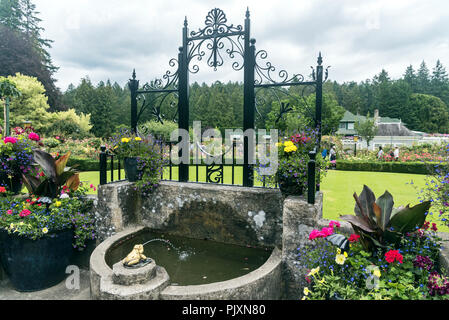 Fontana nel giardino di rose, i Giardini Butchart , Brentwood Bay, British Columbia, Canada Foto Stock