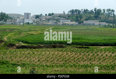 La Corea del Nord, vasto campo di riso con alcuni alloggi a distanza Foto Stock