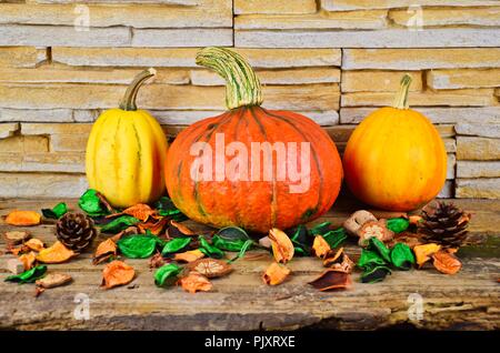 L'autunno è venuta con zucche, mattoni e lo sfondo di legno. Foto Stock