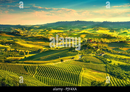 Vigneti delle Langhe panorama al tramonto, Grinzane Cavour, sito Unesco, Piemonte, Italia del nord Europa. Foto Stock