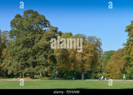 West Park, Aachen, Renania settentrionale-Vestfalia, Germania, Westpark, Nordrhein-Westfalen, Deutschland Foto Stock