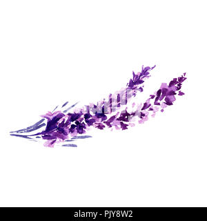 Fiori di lavanda illustrazione ad acquerello. Dritto ramo di lavanda. Matrimonio e il giorno di San Valentino biglietti di auguri design floreale. Amore e matrimonio. Unico ramoscello di lavanda. Raster isolato Foto Stock