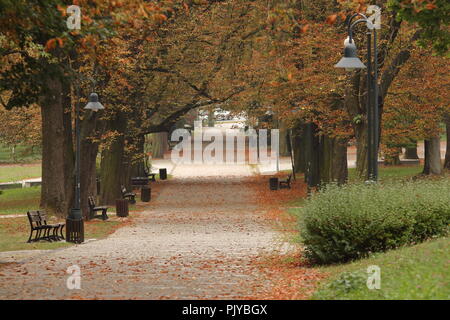 Park Alley a inizio autunno (caduta), nessuno, senza persone, alberi con brown, arancione, giallo, foglie rosse, panchine, lampioni.meteo Foto Stock