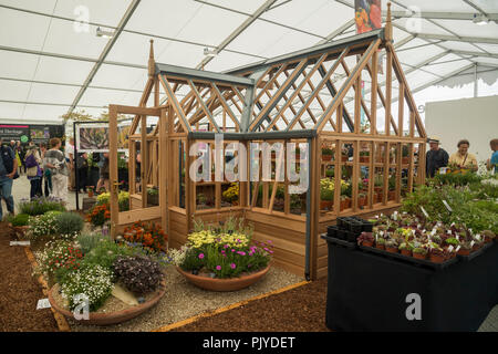 Persone in maquee, vista bellissima piante alpine in vasi e ciotole, visualizzata dalla serra in legno - RHS Chatsworth Flower Show, Derbyshire, Inghilterra, Regno Unito. Foto Stock