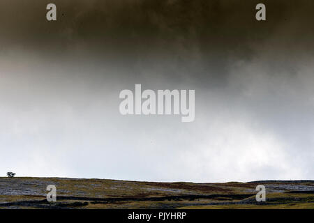 Yorkshire, Regno Unito. 9 Settembre 2018: il dramma nella tempesta nubi sul viadotto Ribblehead come il treno attraversa il Dales, pecore tenere alto il traffico lungo le strade B intorno al dales. Clifford Norton Alamy Live News. Credito: Clifford Norton/Alamy Live News Foto Stock