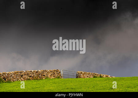 Yorkshire, Regno Unito. 9 Settembre 2018: il dramma nella tempesta nubi sul viadotto Ribblehead come il treno attraversa il Dales, pecore tenere alto il traffico lungo le strade B intorno al dales. Clifford Norton Alamy Live News. Foto Stock