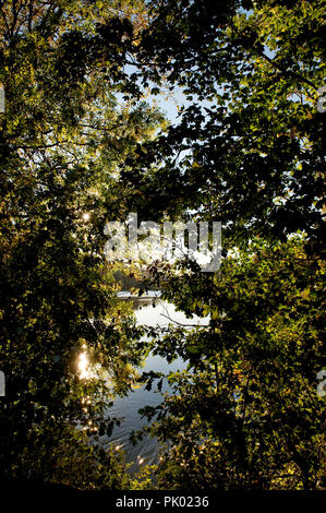 Impressioni autunno delle acque Zoete laghi Oud-Heverlee (Belgio, 10/10/2010) Foto Stock