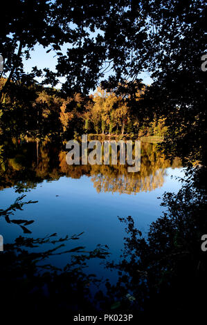 Impressioni autunno delle acque Zoete laghi Oud-Heverlee (Belgio, 10/10/2010) Foto Stock