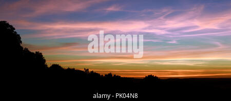 Tramonto da Danebury Hillfort in Hampshire, Inghilterra Foto Stock