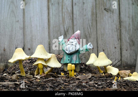 Vivere i funghi e gnomo da giardino insieme in una casa letto giardino, vista di uno. Foto Stock