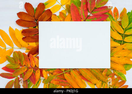 Tela Bianca con copia spazio su ashberry colorate foglie sfondo. Autunno ispirazione. Foto Stock