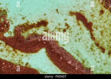 Fuso menta e gelato al cioccolato con un abstract sfondo colorato. Vista dall'alto. Concetto di estate. Foto Stock