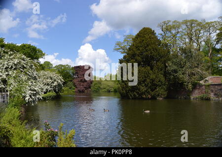 Paesaggio di Dunham Massey Altrincham rododendri e lago Foto Stock