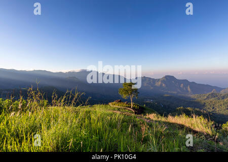 Raggi di Dio poco dopo l'alba nei pressi del Monte Inerie in Nusa Tenggara orientale, Indonesia. Foto Stock