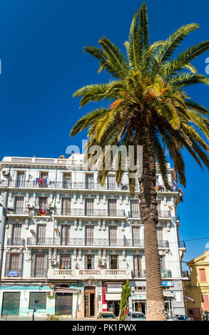 Palm Tree e un francese edificio coloniale ad Orano, in Algeria Foto Stock