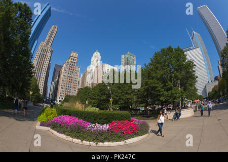 Fiori d'estate in fiore, Millennium Park Chicago City Centre, Illinois, Stati Uniti d'America Foto Stock