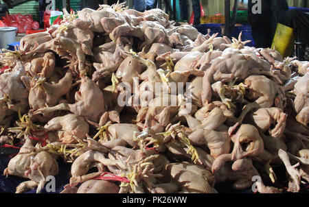 Polli di allevamento polli da carne a Bandung, Indonesia. Foto Stock