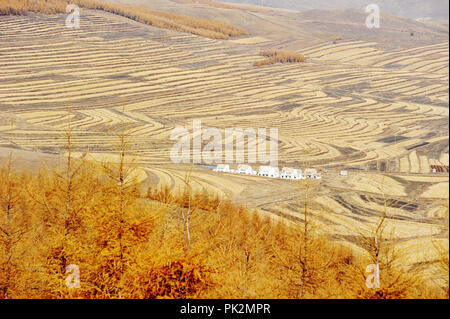 Zhangjiak, Zhangjiak, Cina. Undicesimo Sep, 2018. Zhangjiakou, CINA-autunno scenario di Bashang pascoli nel Zhangjiakou, nel nord della Cina di nella provincia di Hebei. Credito: SIPA Asia/ZUMA filo/Alamy Live News Foto Stock