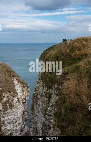 Bempton Cliffs affacciato sul Mare del Nord vicino Bempton vicino a Bridlington visto dalla RSPB stazione di visualizzazione Foto Stock