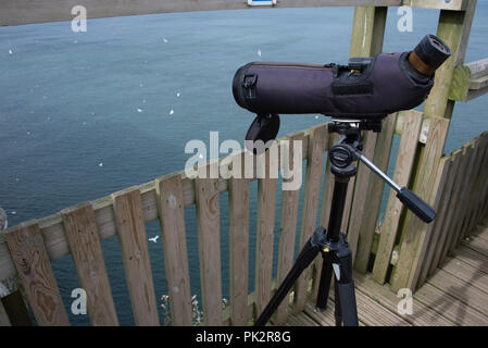 RSPB sea bird watching stazione presso Bempton Cliffs sulla costa est vicino a Bridlington Foto Stock