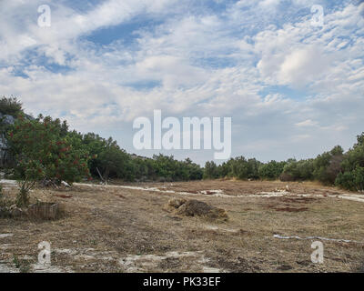 Colpo di ambiente rurale in cava, Rosolini - Italia Foto Stock