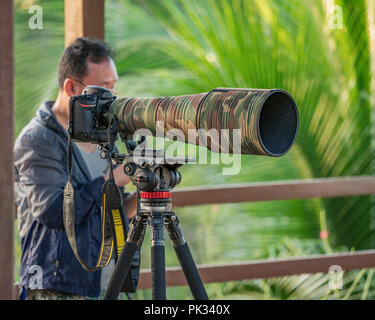 Fotografo con lente lungo, Costa Rica. Foto Stock