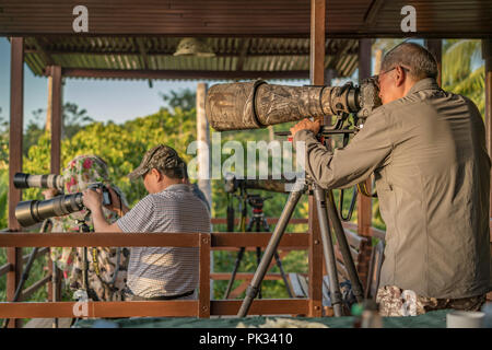 I fotografi con lente lungo, Costa Rica Foto Stock