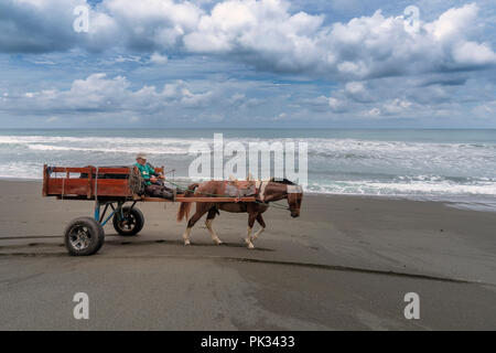 Uomo che utilizza un cavallo e il carrello sulla spiaggia, Osa Peninsula, Costa Rica Foto Stock