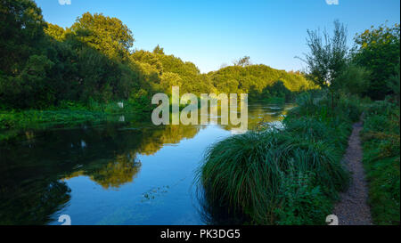 In autunno l'alba sul fiume Itchen - un famoso letto chalk stream rinomata per la pesca con la mosca - tra Ovington e Itchen Abbas in Hampshire, Regno Unito. Foto Stock