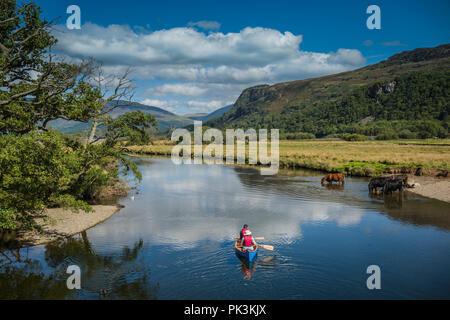 Due canoisti paletta giù il fiume Derwent in Borrowdale, Lake District inglese. Foto Stock