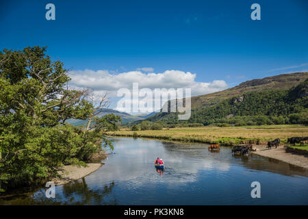 Due canoisti paletta giù il fiume Derwent in Borrowdale, Lake District inglese. Foto Stock