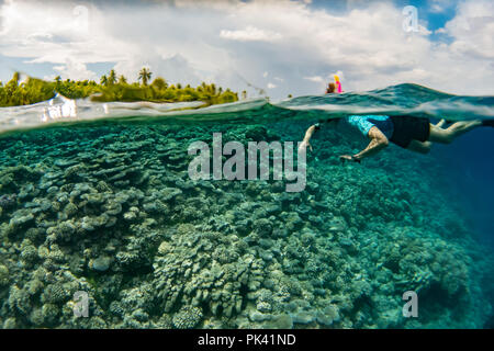 Un snorkeler gode dell'ambiente idilliaco del sud passano reef rientro in Fakarava atoll, Polinesia Francese Foto Stock