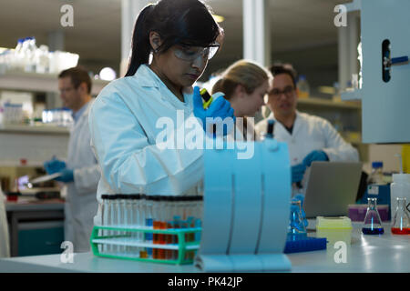 Donna scienziato usando una pipetta in laboratorio Foto Stock