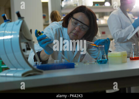 Donna scienziato usando una pipetta in laboratorio Foto Stock