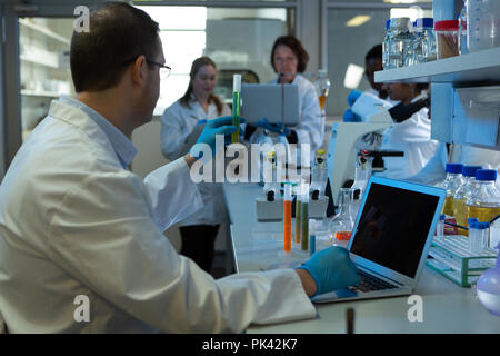 Scienziato maschio utilizzando laptop tenendo il tubo di prova Foto Stock