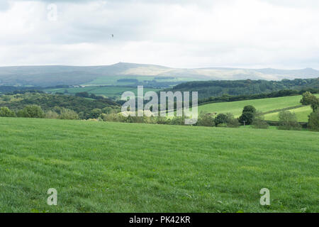 Scena in Devon con Dartmoor in distanza Foto Stock