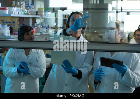 Il team di ricercatori discutendo sulla parete di vetro Foto Stock