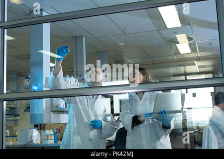 Il team di ricercatori discutendo sulla scheda di vetro Foto Stock