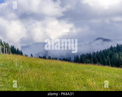 Verde prato con nuvoloso montagne sullo sfondo Foto Stock
