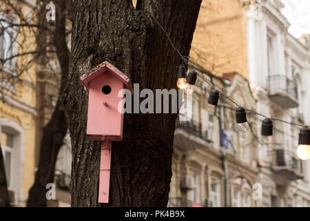 Rosa birdhouse. Un birdhouse nella città. Un birdhouse su un albero. Foto Stock