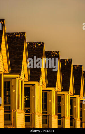 Giorni di Cottages   North Truro, Massachusetts, STATI UNITI D'AMERICA Foto Stock