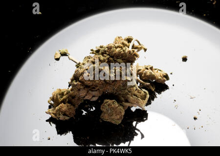 Impianto di pot. Medical Bud. Pila di erbaccia su una tavola nera.La Cannabis bud. Foto Stock
