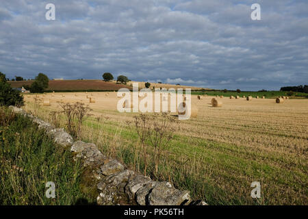 Terreni agricoli a Hume, Berwickshire, Scottish Borders Regno Unito. Le balle di paglia dopo la mietitura. Foto Stock