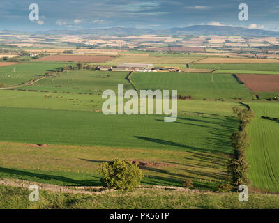 Guardando da Hume nel castello Berwicvkshire, verso sud attraversando ricchi terreni agricoli verso le colline Cheviot oltre Roxburghshire Foto Stock