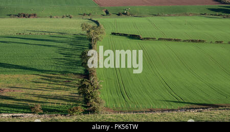 Guardando da Hume nel castello Berwicvkshire, verso sud attraversando ricchi terreni agricoli Foto Stock